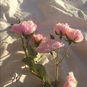 Meet your Posher, Mim